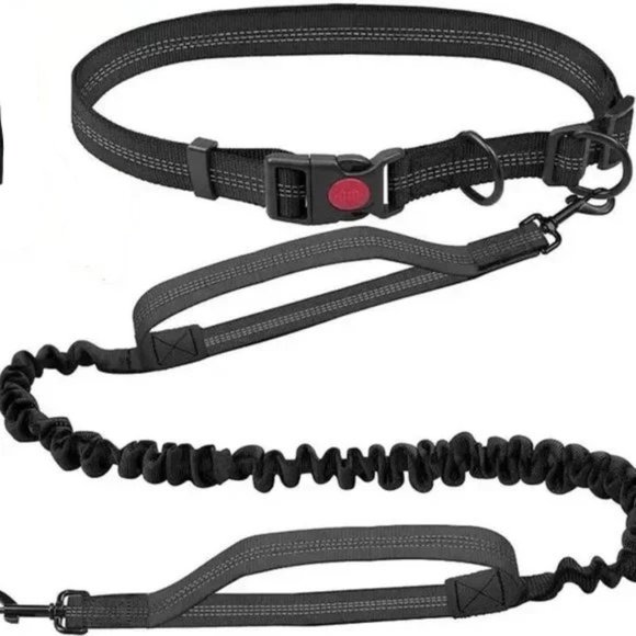 Brand New Hands Free Dog Leash for Running Walking Training Hiking, Dual-Handle - Picture 1 of 1